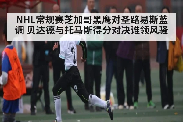 NHL常规赛芝加哥黑鹰对圣路易斯蓝调 贝达德与托马斯得分对决谁领风骚